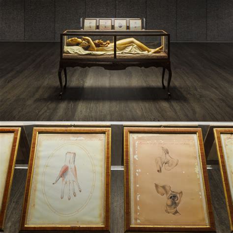 firenze fondazione prada didattica|Cere Anatomiche. La mostra in Fondazione Prada con David.